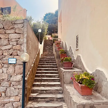 Il Maestrale Daire